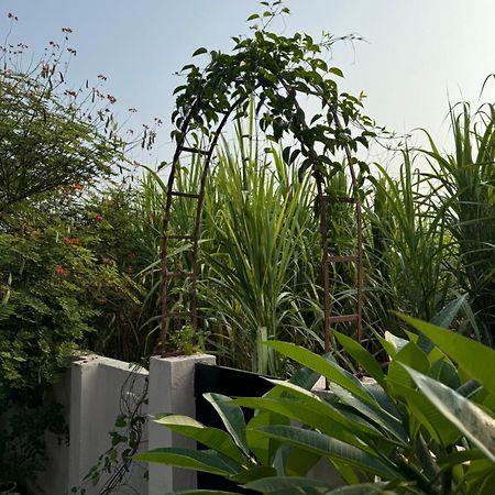 The Bougainvillea Cottage Farmstay Near Dehradun , 2 Bedroom Private Cottage Next To Fields And Orchards With Hill Views Екстер'єр фото