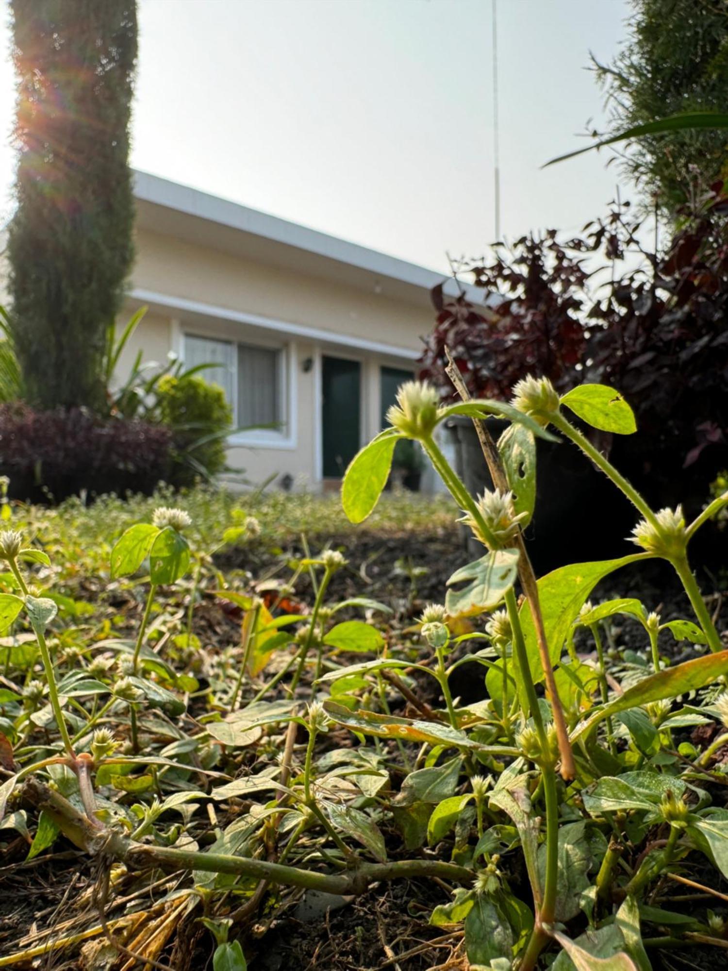The Bougainvillea Cottage Farmstay Near Dehradun , 2 Bedroom Private Cottage Next To Fields And Orchards With Hill Views Екстер'єр фото