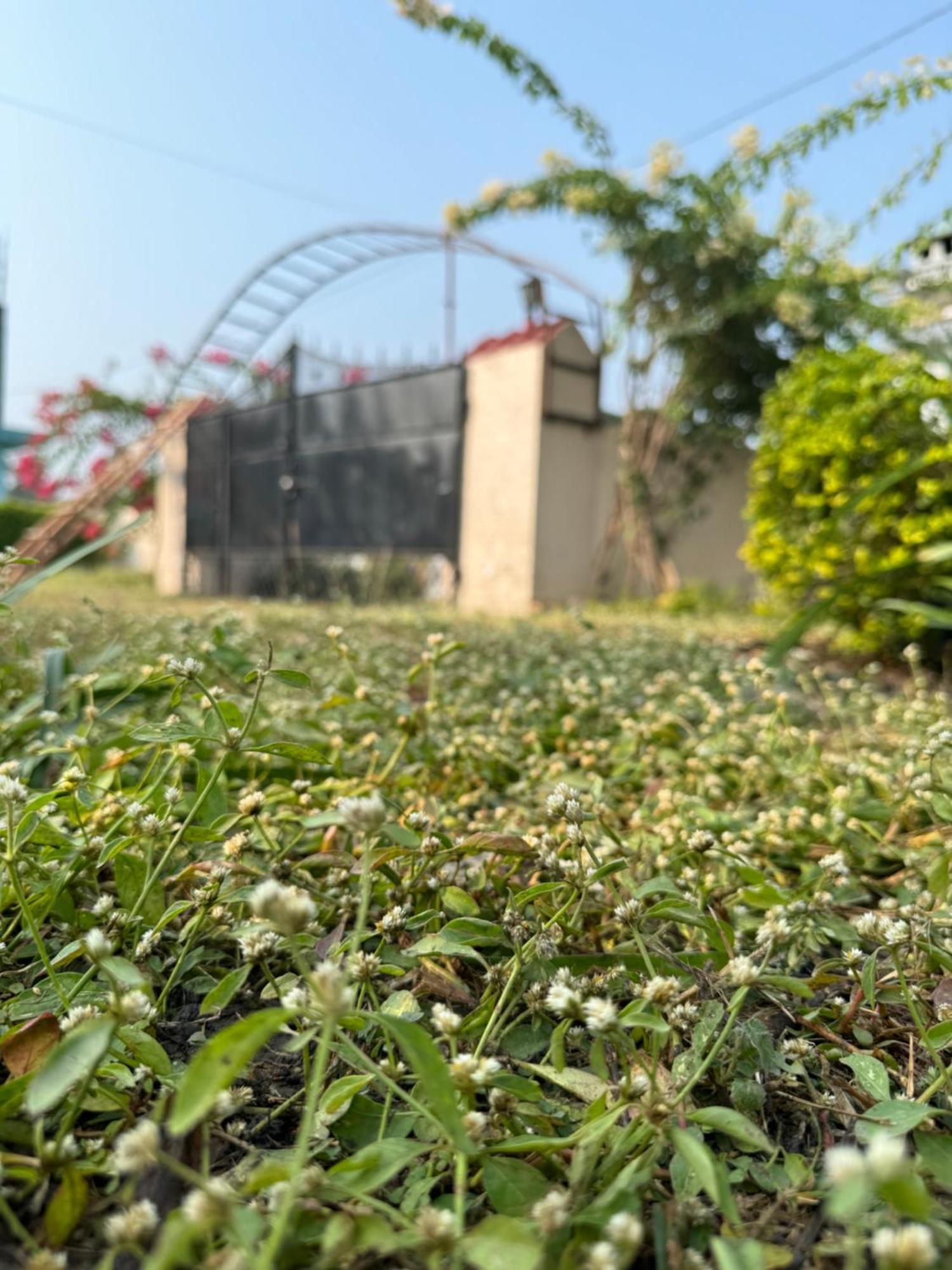 The Bougainvillea Cottage Farmstay Near Dehradun , 2 Bedroom Private Cottage Next To Fields And Orchards With Hill Views Екстер'єр фото